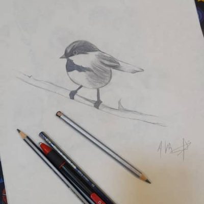 کلاس آموزش نقاشی کودکان موسسه استاد جوادزاده