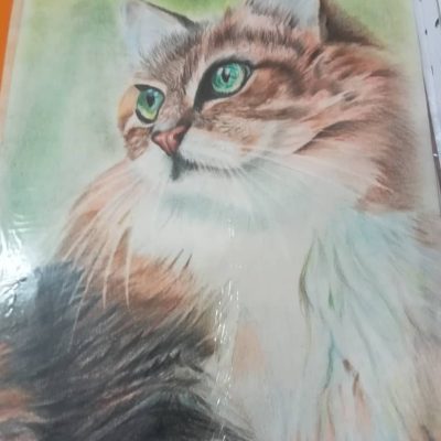 کلاس آموزش نقاشی کودکان موسسه استاد جوادزاده